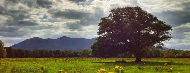 Nerd Fitness Rebellion! Your Gateway to Health and Happiness